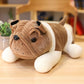 Shar Pei Plush Toy